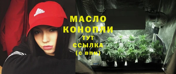 шишки Арсеньев