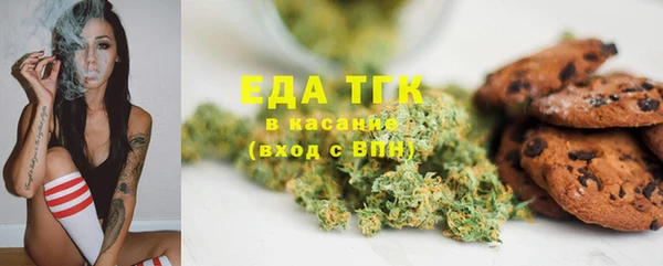 шишки Арсеньев