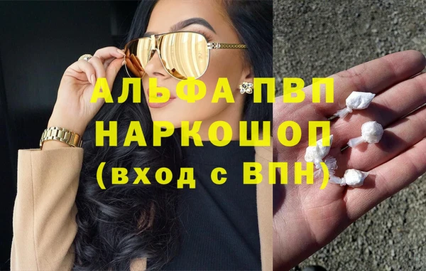 шишки Арсеньев
