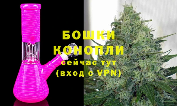 шишки Арсеньев