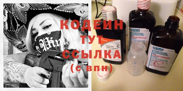 шишки Арсеньев