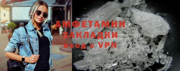 шишки Арсеньев