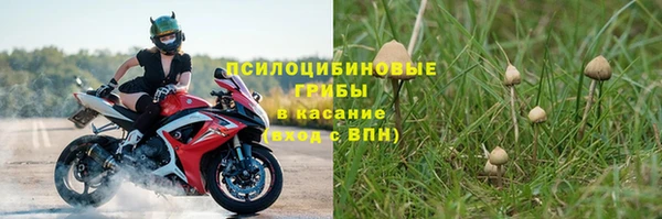 apvp Армянск