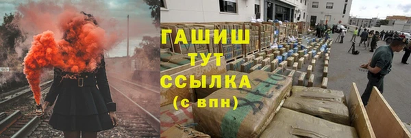 шишки Арсеньев