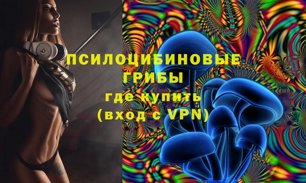 шишки Арсеньев